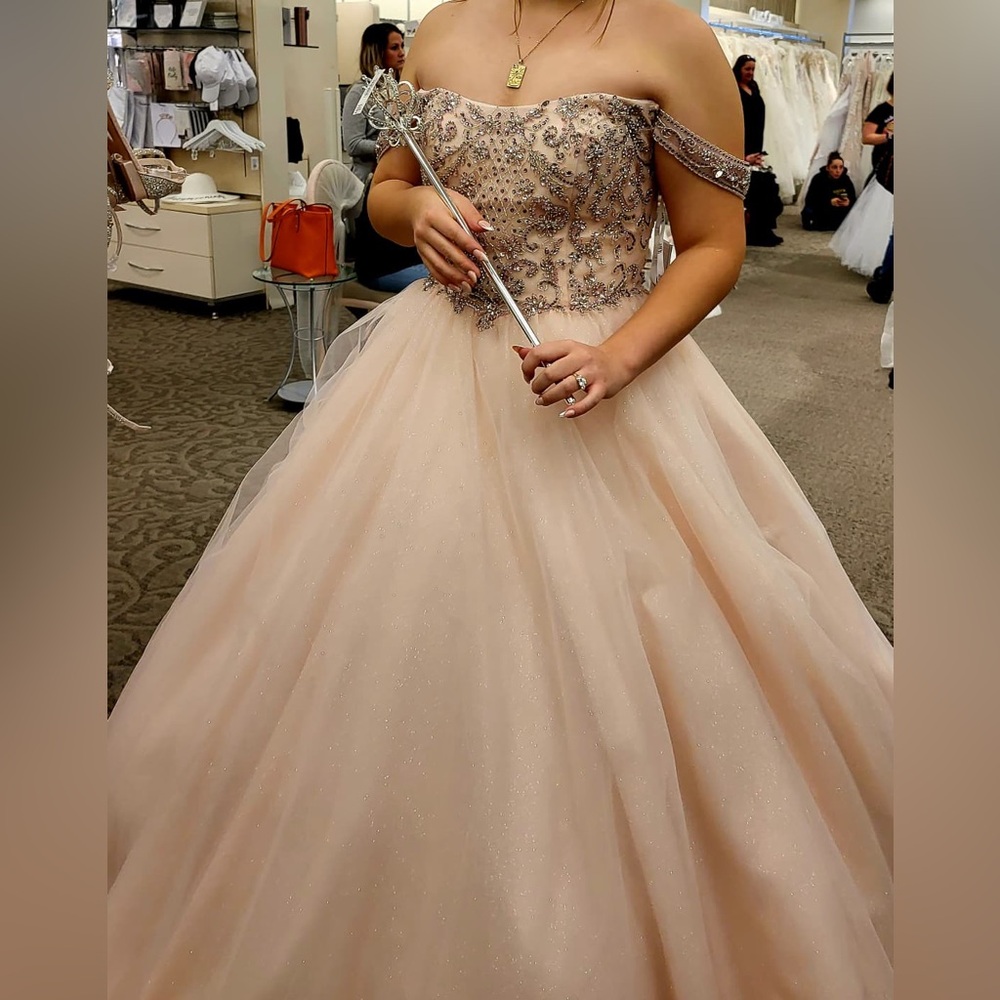 David's Bridal Blush and Silver Wedding Dress